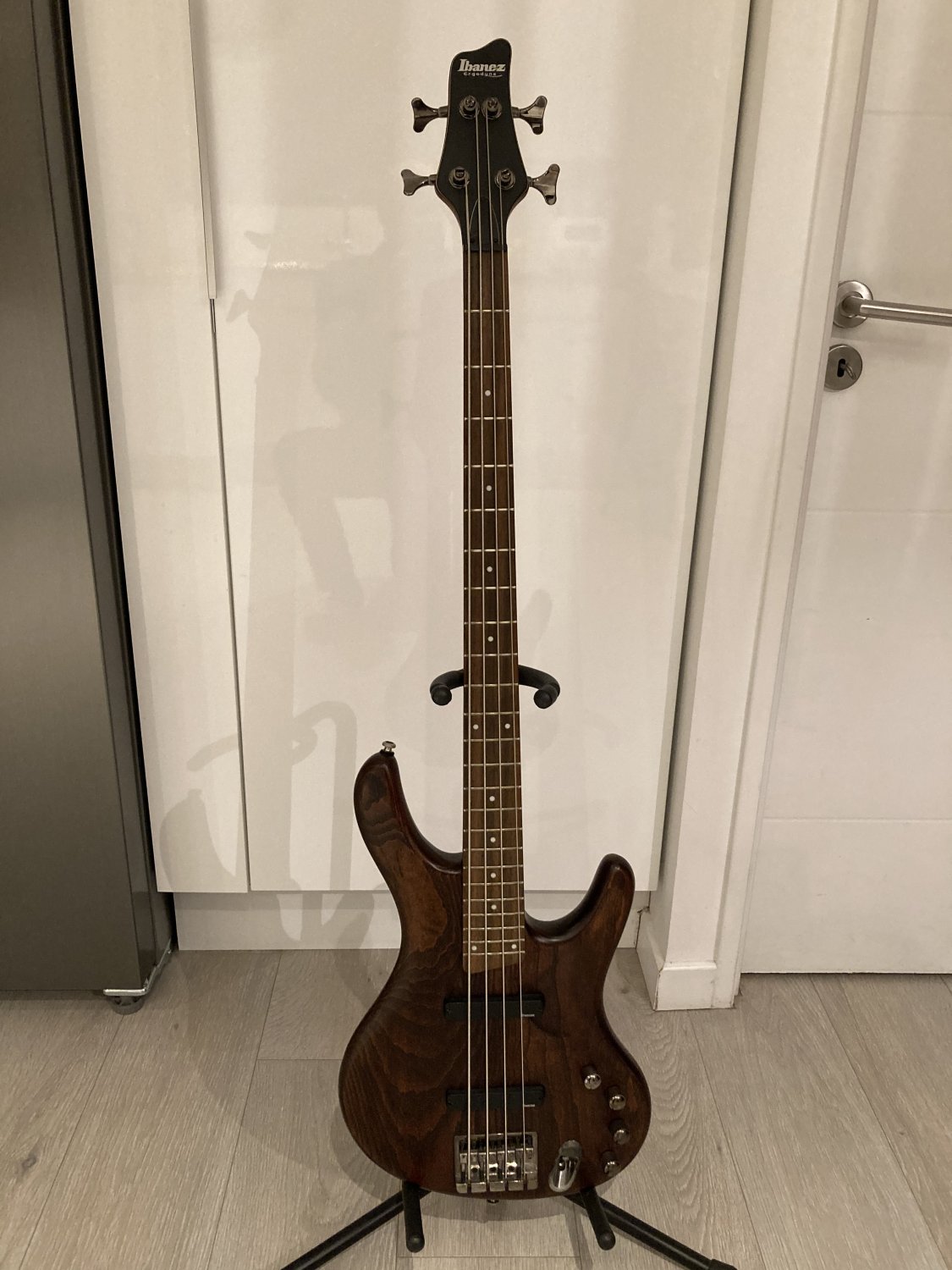 Ibanez EDB550 - 楽器/器材